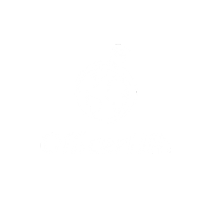 OHR logo white OHR logo white